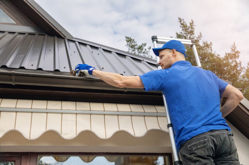Professional Gutter Cleaning Service