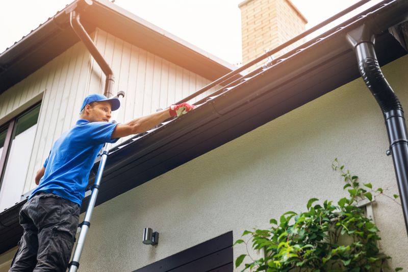 Experienced Gutter Cleaners
